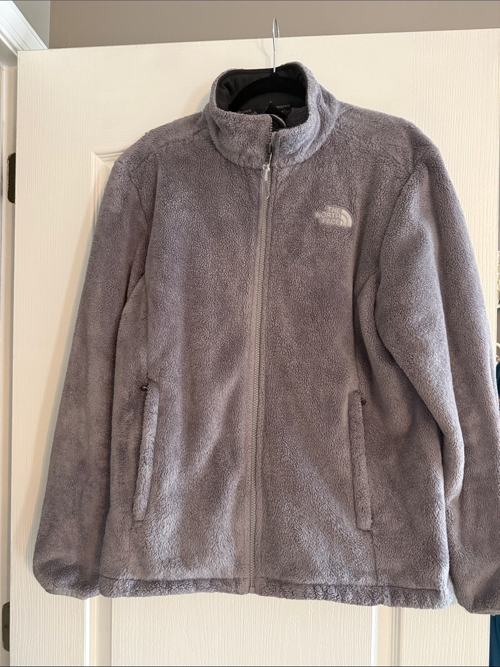 The North Face Plush Full-Zip Jacket in Light Gray
